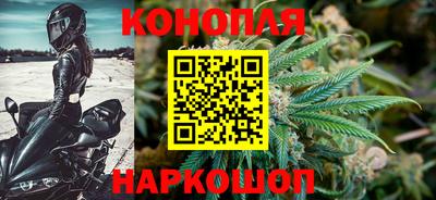 прущие крисы Гусиноозёрск