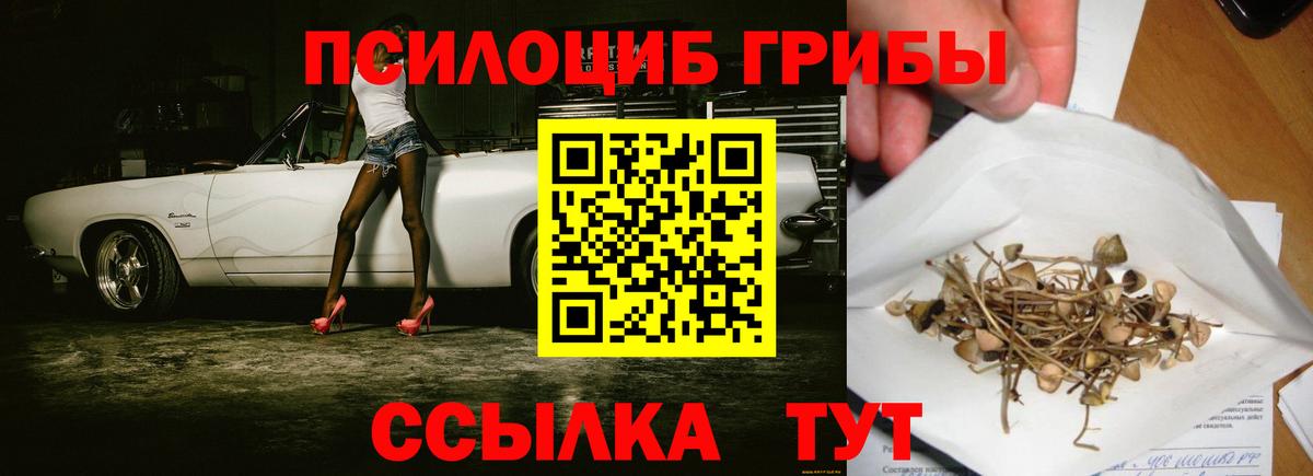 Галлюциногенные грибы MAGIC MUSHROOMS Нижний Тагил