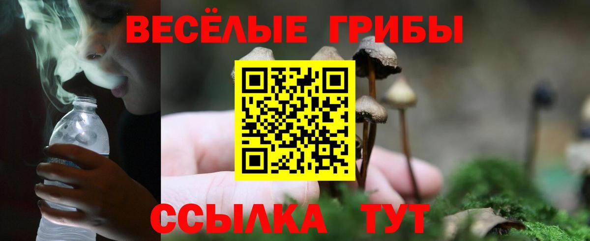Псилоцибиновые грибы ЛСД  Вход с VPN  Нижний Тагил  Псилоцибиновые грибы GOLDEN TEACHER 
